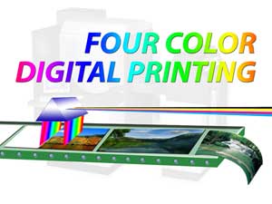 Digital 4-Color Digital 4-Color