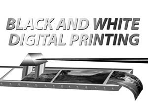 Digital Black & White Digital Black & White